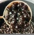 Import Taiwan Tapioca Pearls For Milk Tea Sample Set from China