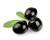 Import Tasty Fresh Black and Green Olive for sale from Ukraine