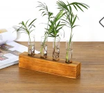 Test Tube Stand Hanging Flower Vase Decorative Rustic Wood Holder