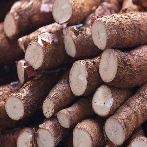 Thailand Organic High Quality Fresh Cassava for Sale
