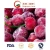 Import Top Sell IQF Frozen Cherry from China