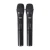 Import Universal Wireless Microphone V20 One tow two microphone  audio universal handheld microphone from China