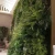 Import Various Outdoor Indoor Decoration Artificial Nature Green Plants Wall from China