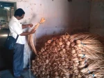 Vietnam best selling rattan materials