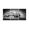 Wall Painting Artist Animal Art Black And White Decorations Modern Paintings Canvas Prints