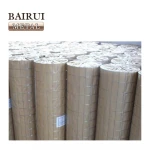 Welded Iron Wire Mesh 50x50