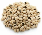 White Cowpea/Black Eye Bean (Vigna Beans)