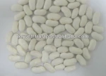White kidney Beans