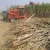 Import Whole stalk harvest machine/cane combine harvester/sugar cane harvester price from China