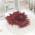 Import Wholesale 2020 new style fashion 5 dragon claw chrysanthemums competitive price Wedding flower from China