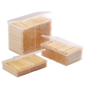 Wholesale 3500pcs 65mm * 2.0mm Portable Wooden Bamboo Plastic container Box packing toothpick Toothpicks Teeth sticks