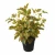 Import Wholesale Artificial Plants Plastic Plant with Pot for home decor 36cm artificial grass Ivy bonsai from China