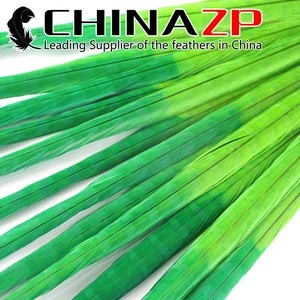 Wholesale Bleached Dyed  Ringneck Pheasant Tail Feathers for Carnival Costume