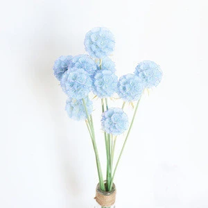 Wholesale high quality single head preserved flowers Windmill fruit &amp; Combretocarpus for  home decoration