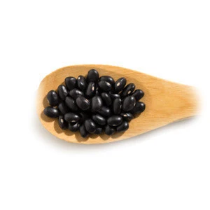 Wholesale Premium Quality Black Bean, Kidney Beans for Sale