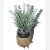 Import Wholesale real look  Artificial Plant Artificial Lavender flower making  For Home Wedding hotel Decoration from China