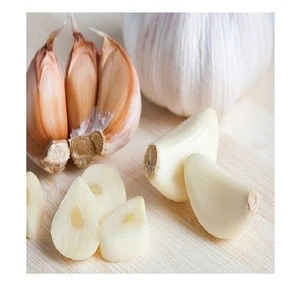 Wholesale Vietnam new crop white garlic fresh garlic price