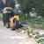 Import Widely Used Garden Gasoline Leaf Vacuum Cleaner And Blower from China