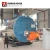 Import WNS Series Wet Back 60 bhp Fire Tube Steam Boiler for Pharmaceutical Project from China