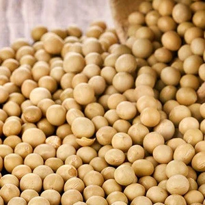 Yellow Soybeans