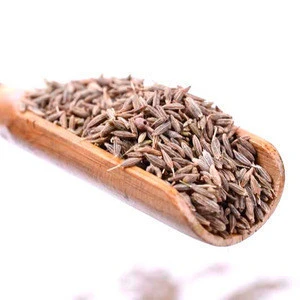Yunnan Chinese Specialty  Cumin Seeds Powder 100% New Harvest High Quality Raw Natural Pure Fresh Barbecue Condiment Spices