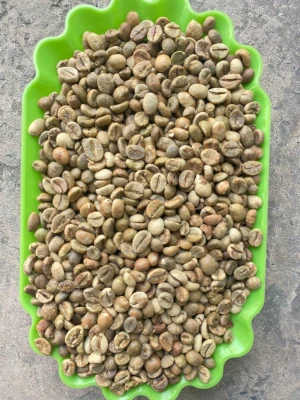 Premium coffee beans