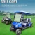 Import golf cart 4 seater Lifted Hunting Electric Golf Cart With Powerful Ac Motor Usa Curtis Controller from Hong Kong