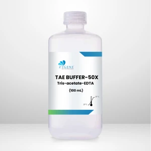 TAE Buffer (Tris -acetate-EDTA)- 50X (100 mL)