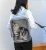 Import Foldable Portable Breathable Pet cat bag Traveling Pet Backpack from China