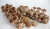 Import Shiitake mushroom spawn growing logs/bags from China