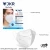 Import N95 | KN95 | Surgical Disposable Mask | KN99 | N99 from India