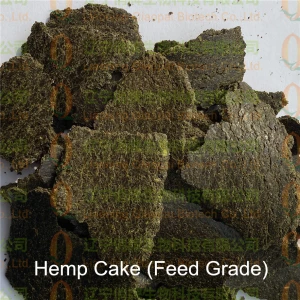 High Grade Hemp Cake, Hemp Oil For Animal Feed in Best Price