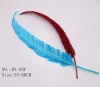 Nandu Feather