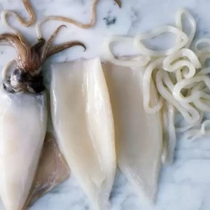 Factory direct price high quality Frozen squid tube & rings frozen seafood
