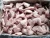 Import Frozen Chicken / FEET / WINGS / PAWS / from Germany