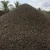 Import Palm kernel shell price Negotiable from Indonesia