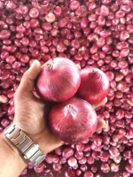 Non-Peeled Fresh Onions