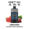 Iget ONE 12000 Puffs – Strawberry Kiwi Ice