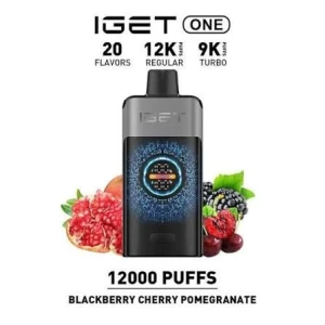 Iget ONE 12000 Puffs – Strawberry Kiwi Ice