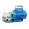 WCB portable gear oil transfer pump