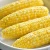 Import YELLOW CORN from Poland