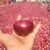 Import Non-Peeled Fresh Onions from India