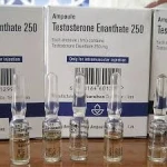 Testosterone Enanthate 250mg 1 Amp