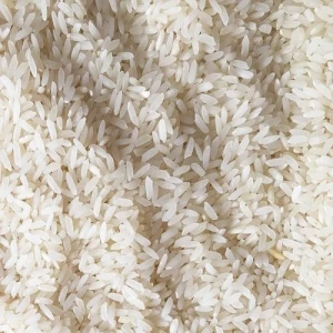 Rice 1121