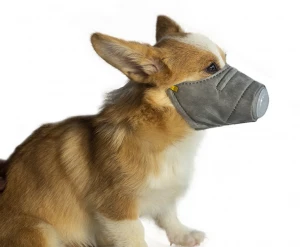 High Quality Dust Haze Protect Pet Cat Dog Face Mask for Small Animal