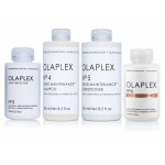 Wholesale Olaplex Products Available