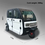 Mini Electric Car, Low-Speed Electric Car, Daily Use Electric Car