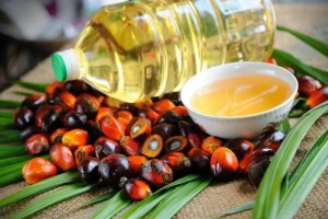 RBD Palm Oil, Top Grade Refined Palm Oil, CP10, CP8, CP6