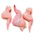 Import Frozen Chicken / FEET / WINGS / PAWS / from Germany