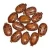 Import CASTOR OIL SEEDS from South Africa